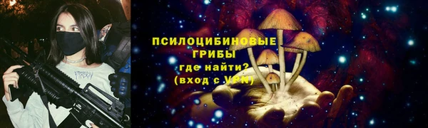 индика Верхний Тагил